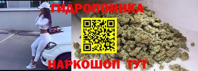 каннабис Гусев