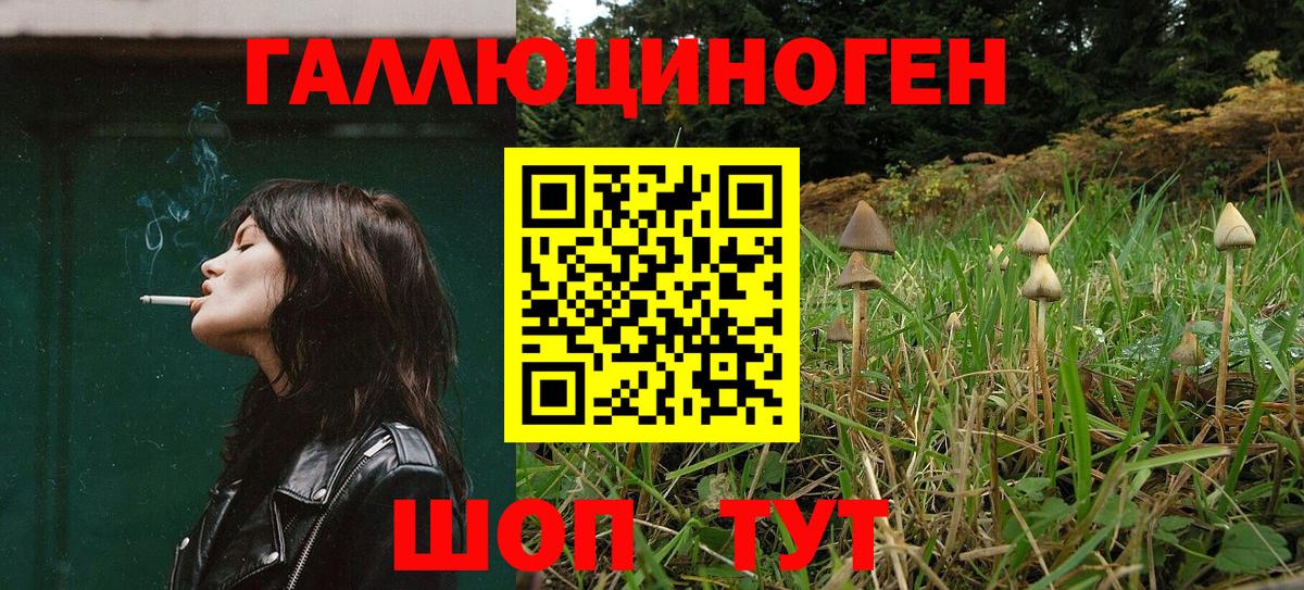 Галлюциногенные грибы MAGIC MUSHROOMS Мыски