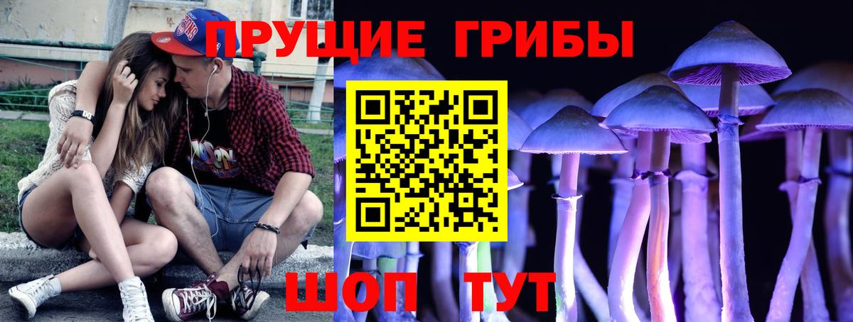 Мыски  Псилоцибиновые грибы Psilocybine cubensis  Вход с VPN 